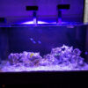 Thumbnail of related posts 090