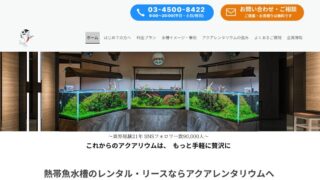 Thumbnail of post image 069