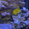 Thumbnail of related posts 068